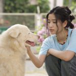 “GDH” รวมพลัง 2 โปรดิวเซอร์ “วัน-บาส” ร่วมสร้างหนังอบอุ่นฮีลใจ ที่โชคชะตาพาให้เจอหมาจร ซึ่งกลายมาเป็นนักแสดงนำในหนัง “โกฮัง..หัวใจโกโฮม” (2 เมษายนนี้ ในโรงภาพยนตร์)