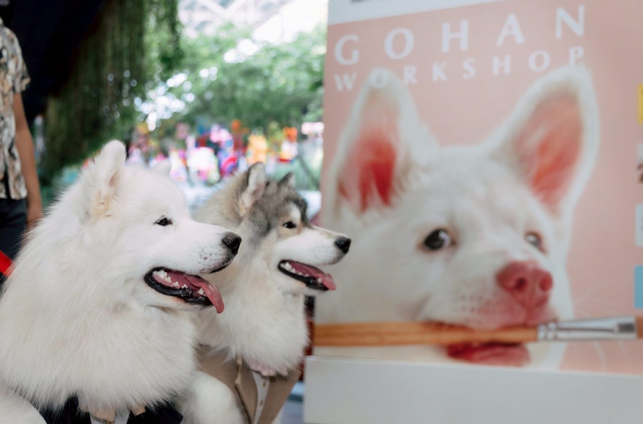 GDH จับมือ CPN จัดกิจกรรม โกเวิร์กช็อปไปกับเจ้12